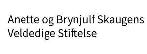 Støttespillere