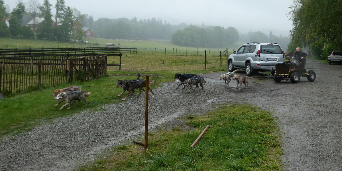 Med Familiehjelperen til Bergvang gård