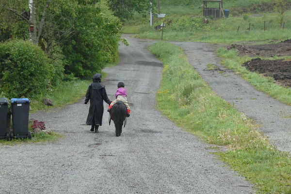 Med Familiehjelperen til Bergvang gård