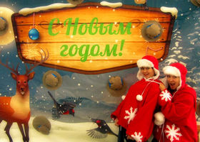 Тир Снежки