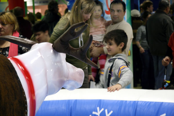 аттракцион бык родео в москве аренда на мероприятие, Аренда родео механический бык на мероприятие, Аренда родео механический бык на мероприятие