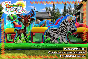 Event Батут Зоопарк на детском дне рождения
