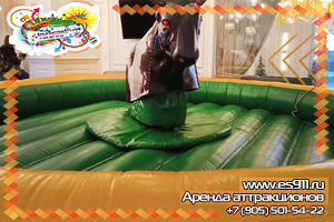 Родео на день рождения