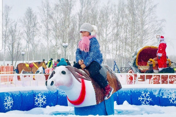 Новогоднее родео