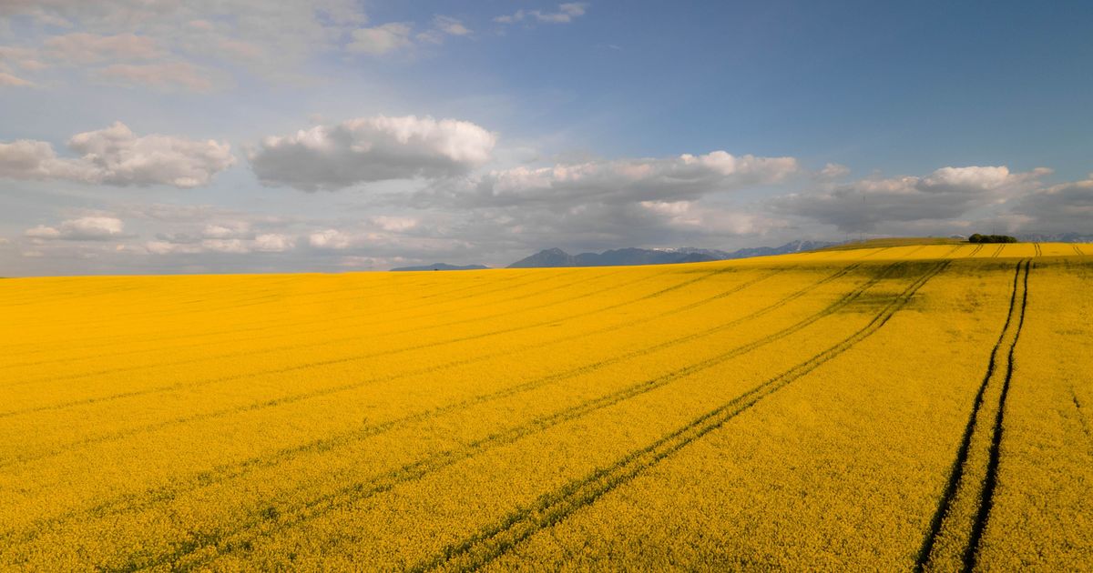 Pinsekirken Livets Senter Nannestad