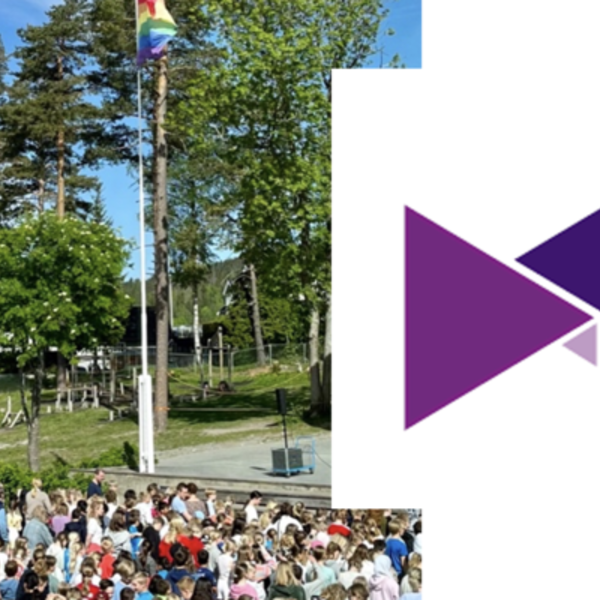 Diskrimineringsnemnda utsetter Pride-avgjørelse på ubestemt tid