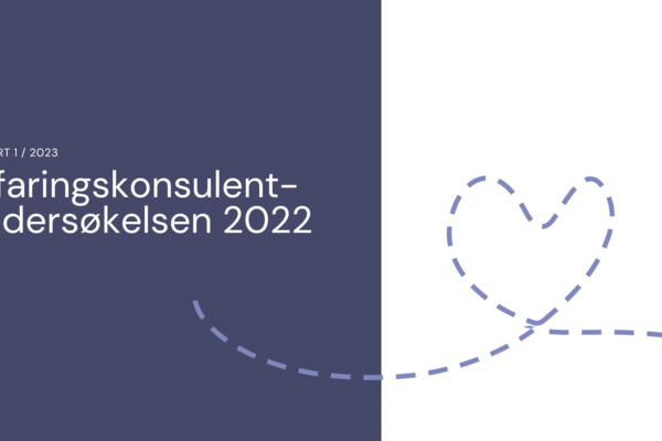 Erfaringskonsulentundersøkelsen med tall fra 2022 er klar
