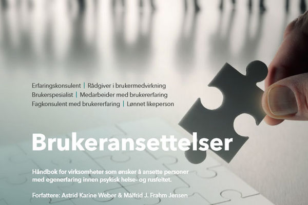Håndbok for brukeransettelser