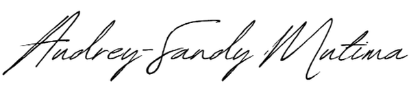 Styrelederens oppsummering av 2025