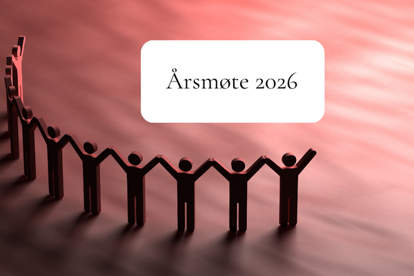 Årsmøte 2026 gjennomført – nytt styre på plass