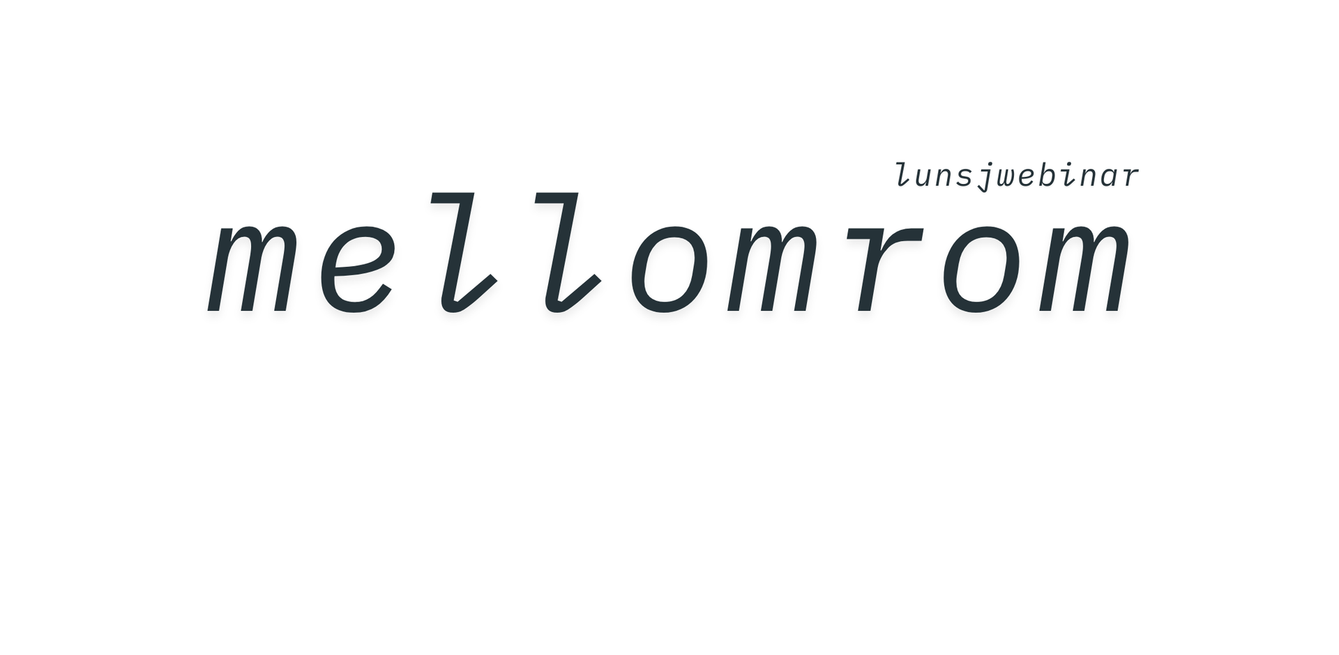 Mellomrom Lunsjwebinar - Samarbeid mellom fag og erfaring