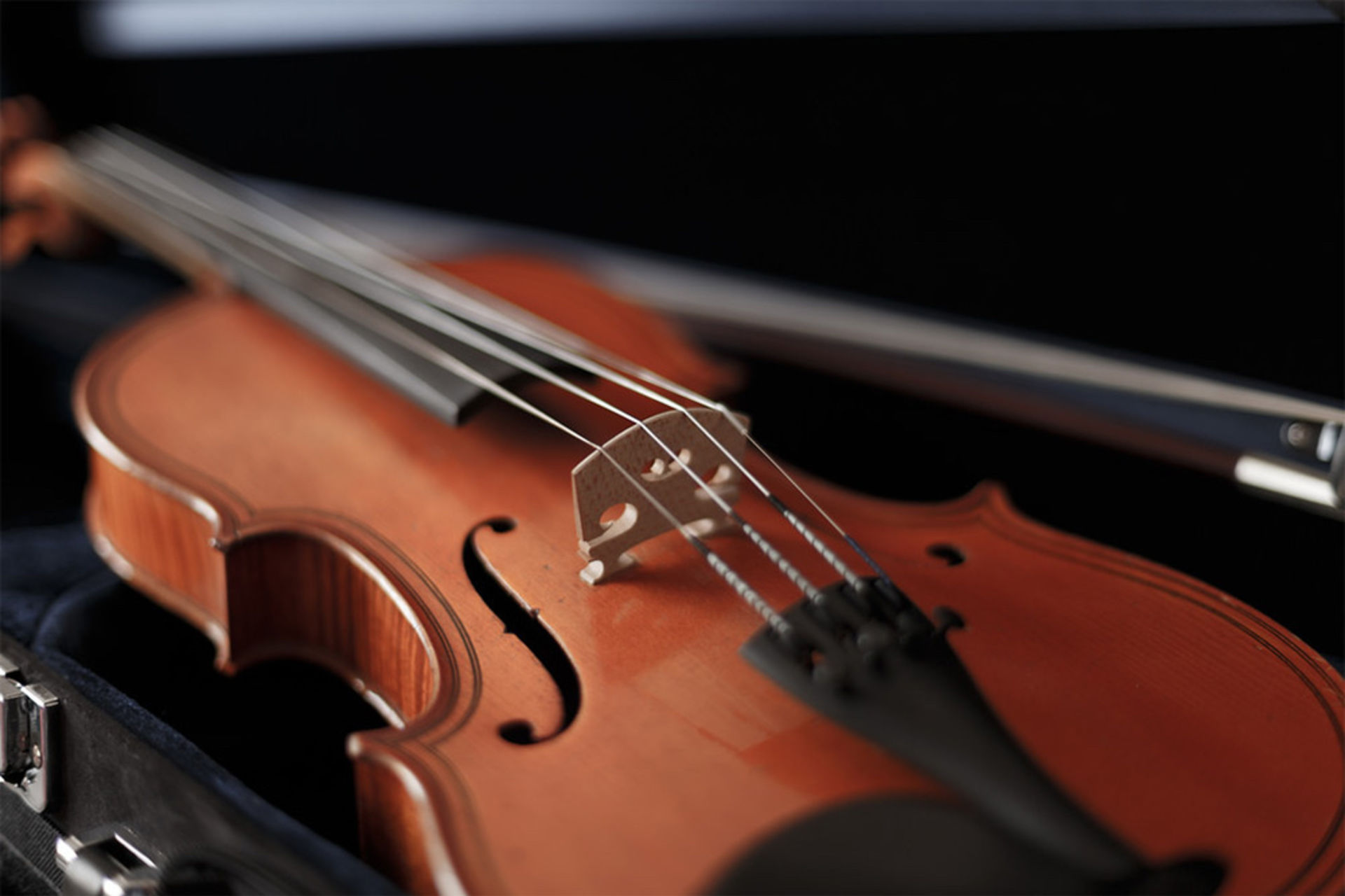 Скрипка - купить билеты на концерты в Москве, афиша 2022-2023