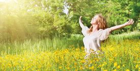 Online cursus vergeving