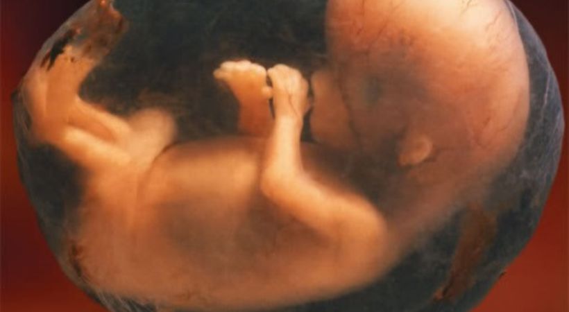 Forbønn for det ufødte liv, og for kvinner som lider etter abort.