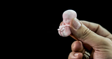 Spørsmål og svar: Hva sier Bibelen om abort?