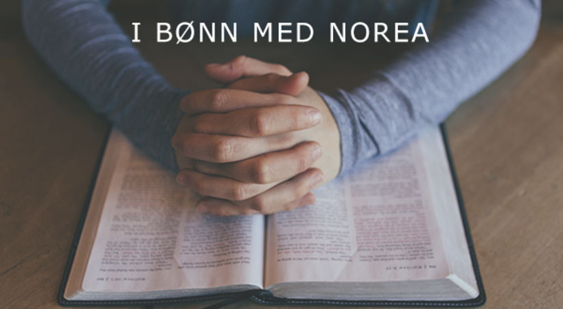 Frivillige i Norea