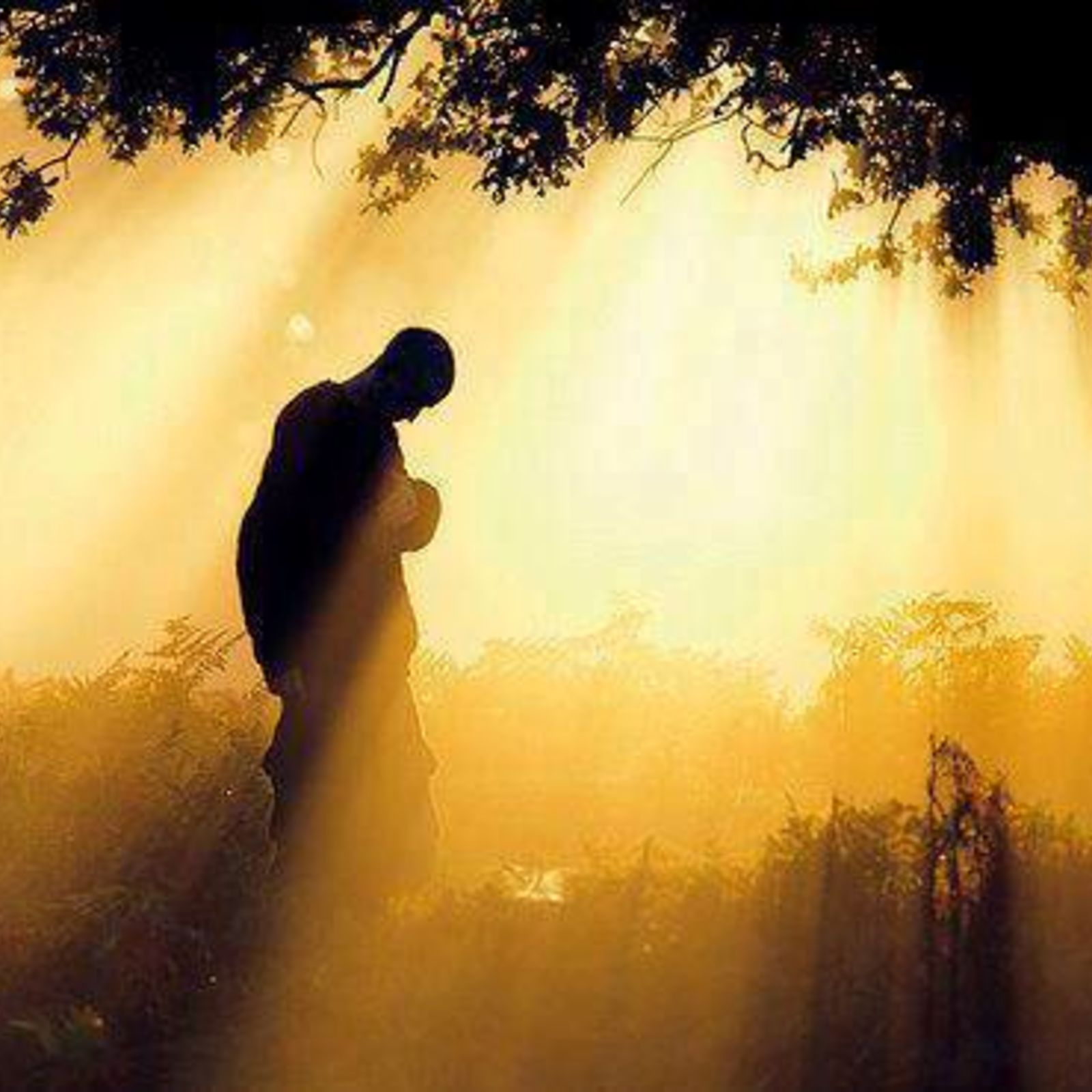 TM 24: Bønnens sprengkraft! TM 24: Bønnens sprengkraft!