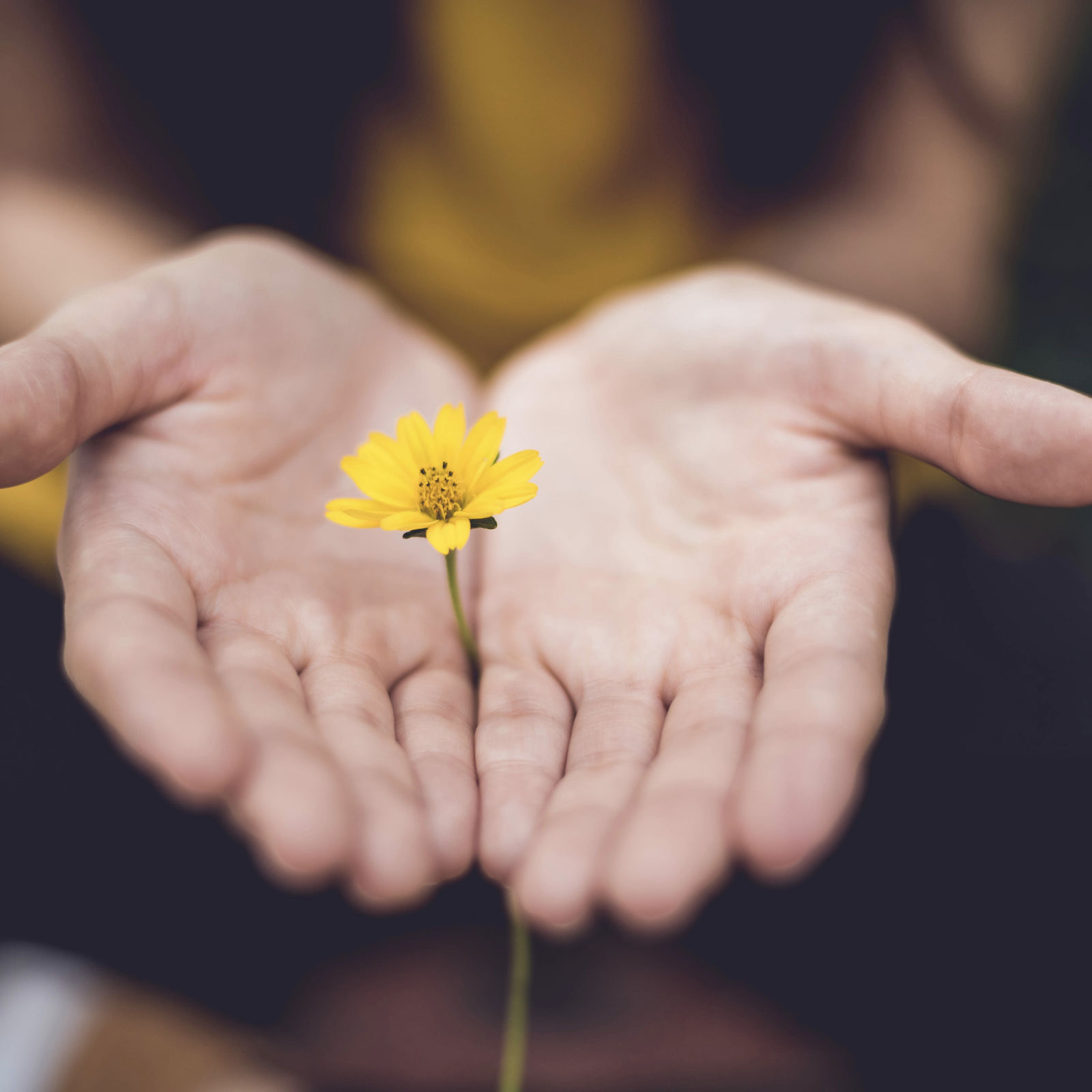 Selvbestemt eller Gudsbestemt