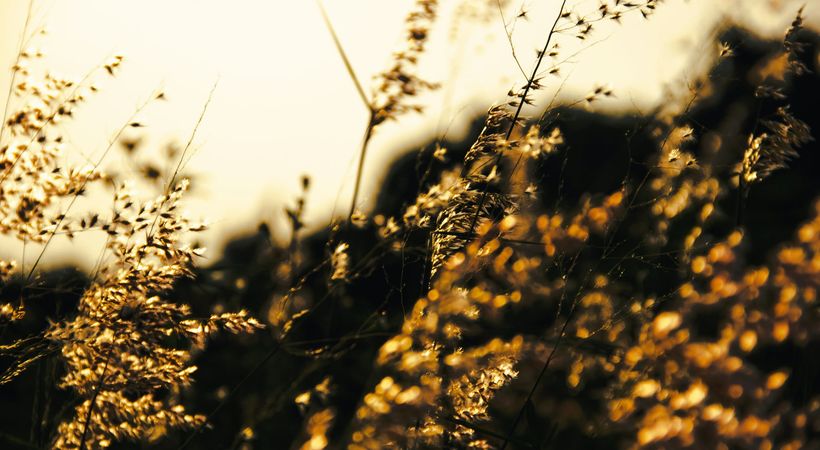 Når kroppen mister sabbatshvilen