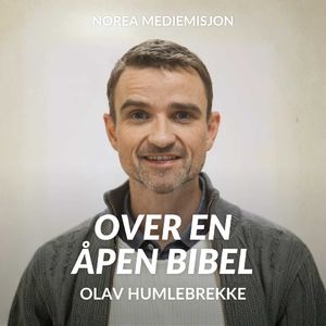 Disippel-liv