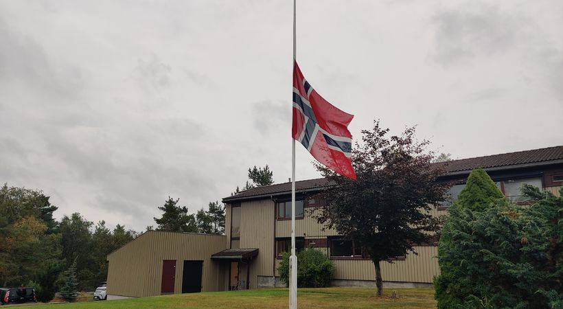 Farvel, kjære konge!